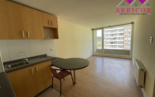 ARRIENDO DEPARTAMENTO EN PARQUE URBANO 1