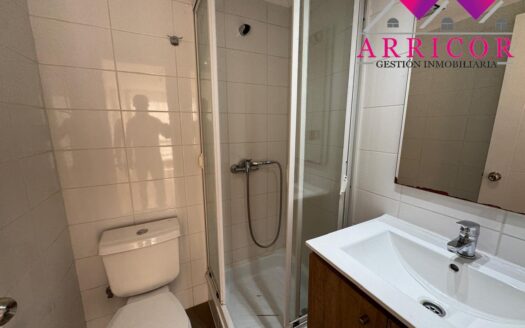 ARRIENDO DEPARTAMENTO 2D/2B EN BRISA DEL SOL
